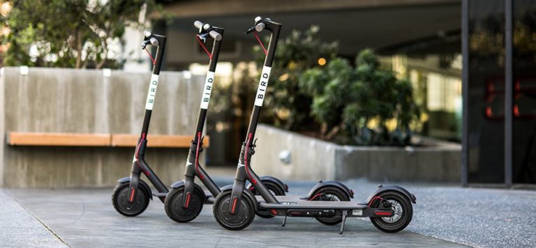 bird scooters 1 768x356